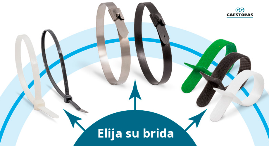 Bridas Gaestopas